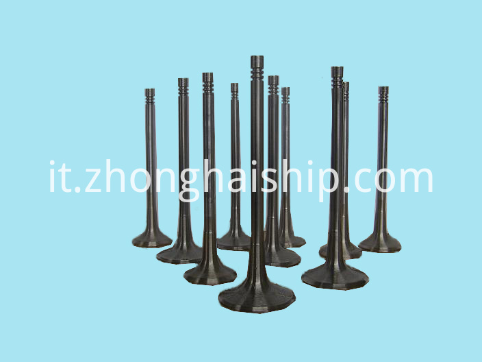 SHANGCHAI D6114A Valvola diesel SHANGCHAI D6114A Diesel Valve